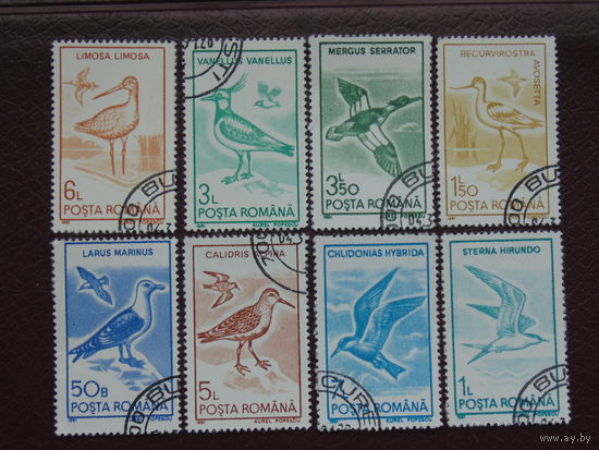 Румыния 1991 г. Птицы.