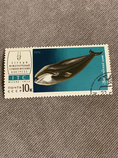 СССР 1974. Гренландский кит. Марка из серии
