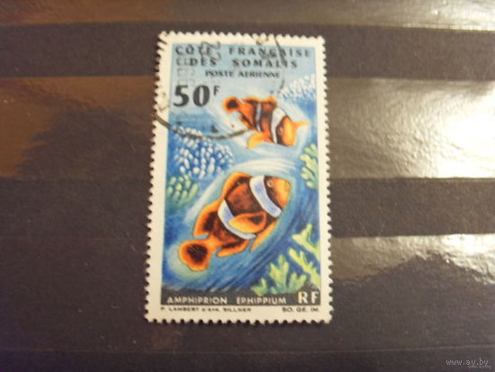 1966 колония Французский Берег Сомали фауна моря рыбы отличная сохранность (5-1)