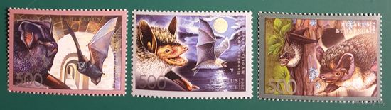 2006 Летучие мыши Беларуси