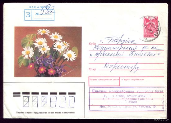 Цветы 582