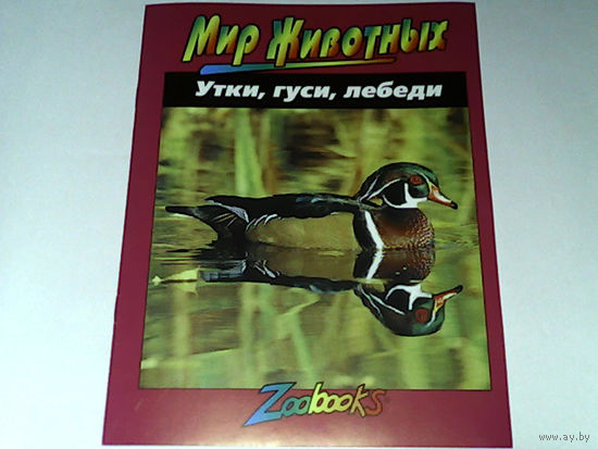 000187/УТКИ,ГУСИ,ЛЕБЕДИ