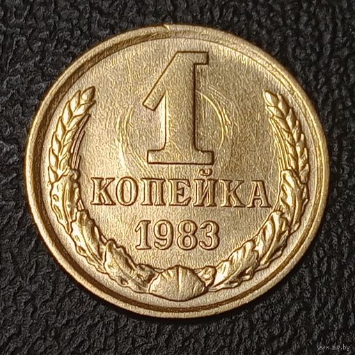 1 копейка 1983 брак, холостое соударение штемпелей на аверсе и реверсе.