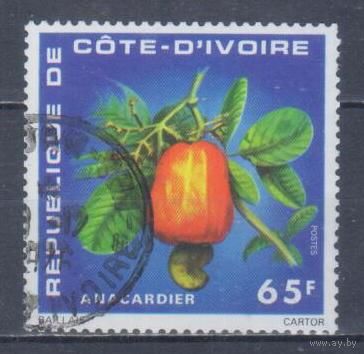 [1113] Кот д'Ивуар 1976. Флора.Плоды.Кешью. Одиночный выпуск.Гашеная марка.