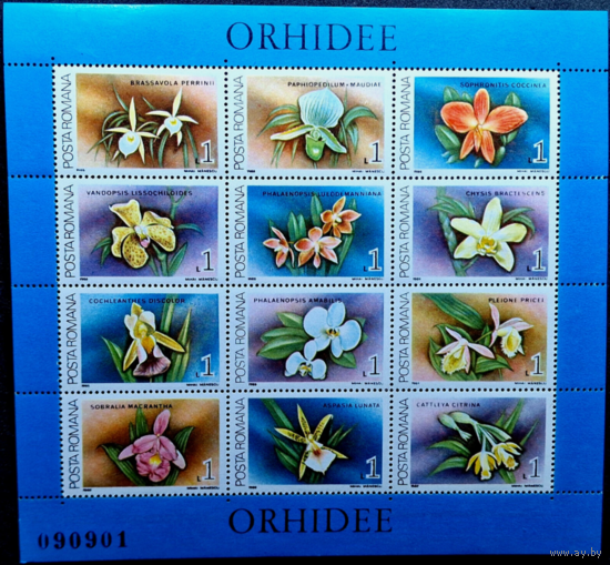 ФЛОРА Орхидеи Румыния 1988   цветы MNH