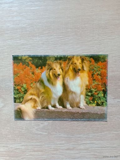 Календарик 1992