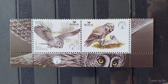 Беларусь 2005г. Фауна Сова Птица года Бородатая неясыть. Марка с купоном.**