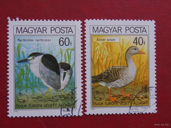 Венгрия 1980 г. Птицы.