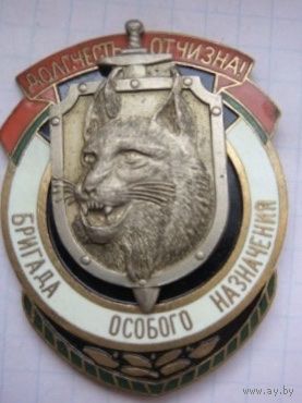 КУПЛЮ Нагрудный знак БРИГАДА ОСОБОГО НАЗНАЧЕНИЯ