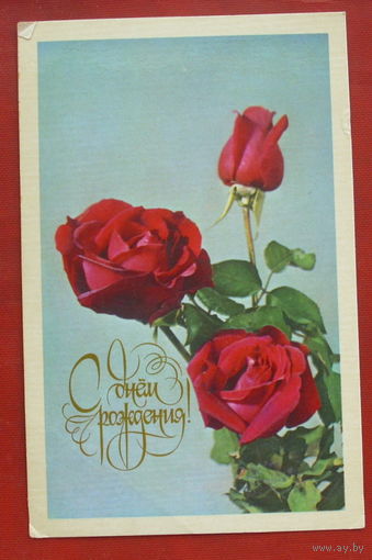 С днём рождения! Подписанная. 1979 года. Фото Резникова. 1073.
