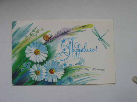 Варламова Т. 1987г.