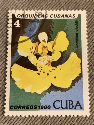 Куба 1980. Орхидеи кубы. Oncidium leiboldil. Марка из серии