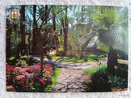 Испания. Эльче. Огород священника. Сады