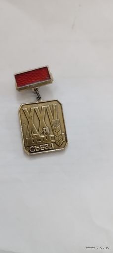 25 -й съезд