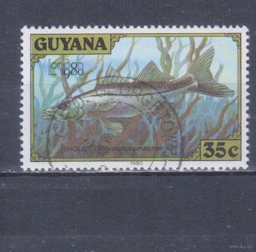 [707] Гайана 1980. Фауна.Рыба. Гашеная марка. 1