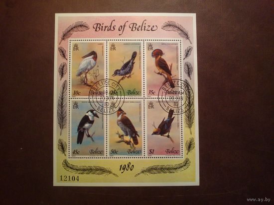 Белиз 1980 г.Птицы Белиза. /п/