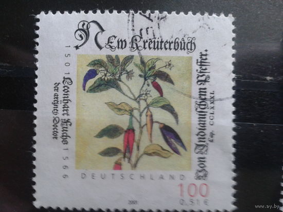 Германия 2001 индийский перец Михель-0,9 евро гаш.