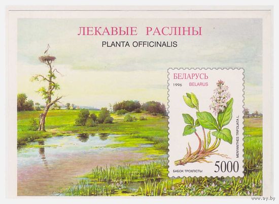 Беларусь 1996 Блок Лекарственные растения
