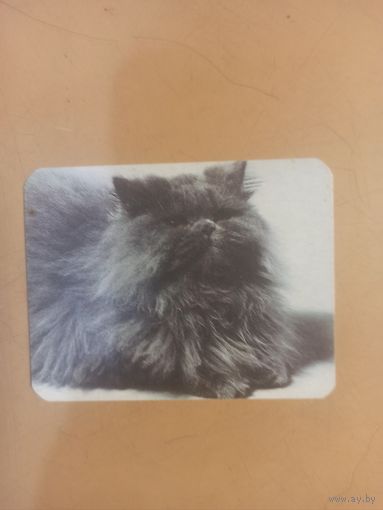 Календарь 1990 кошки/12