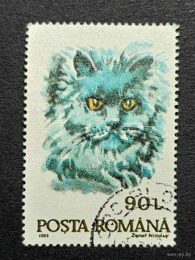 Румыния 1993. Коты