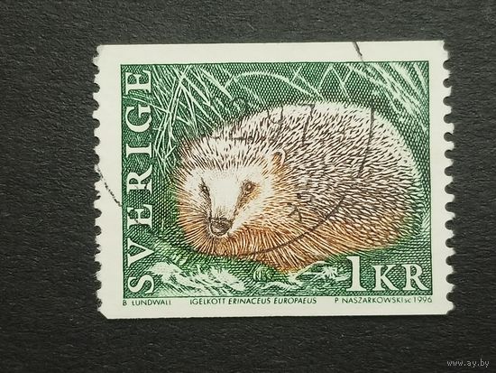 Швеция 1996. Дикие животные