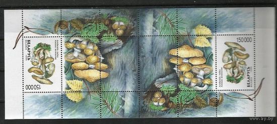 Беларусь. 1999 год. Флора Грибы. Опенок осенний. Два блока в листе.  **