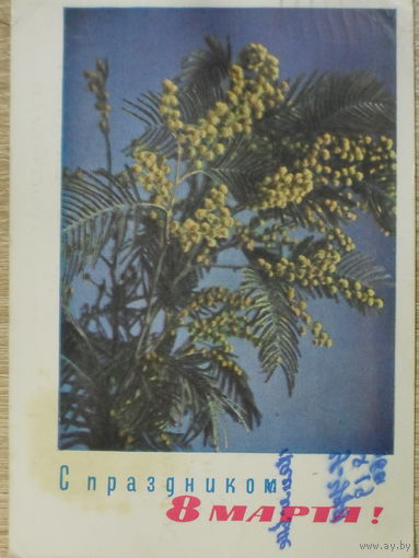 ПОДПИСАННАЯ ОТКРЫТКА СССР. ПРОШЕДШАЯ ПОЧТУ. "С ПРАЗДНИКОМ 8 МАРТА". ФОТО. П. И. СМОЛЯКОВА. 1967 год.