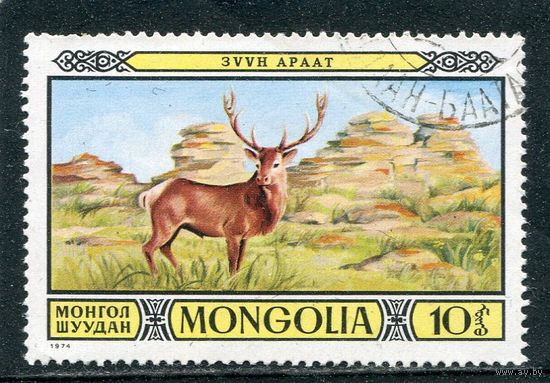 Монголия. Фауна