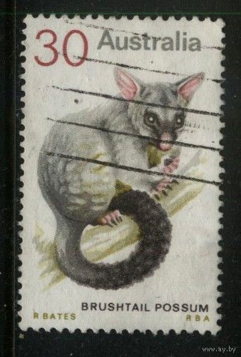 Австралия - 1974 [Mi. 544] Гашеная (AU13)