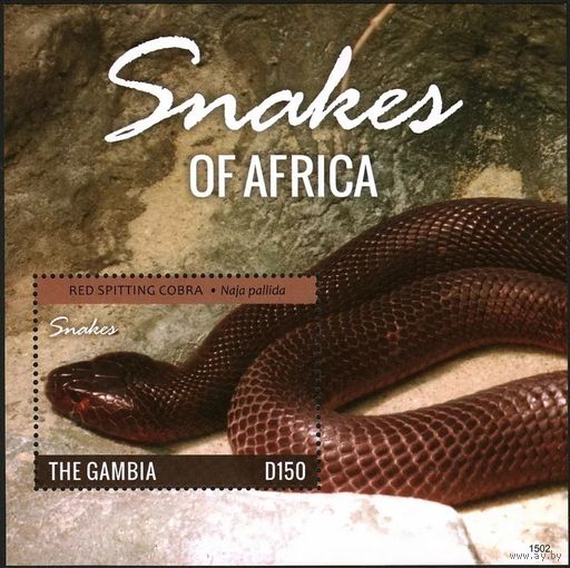 2014 Гамбия 7080/B918 Рептилии - Змеи 8,00 евро
