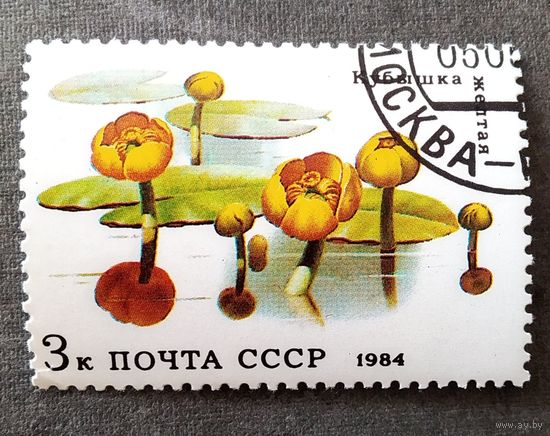 Марка СССР 1984 год Водные растения