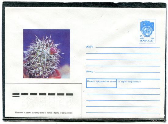 СССР 1990. ХМК. конверт. Кактус. Маммиллярия Маленфорда