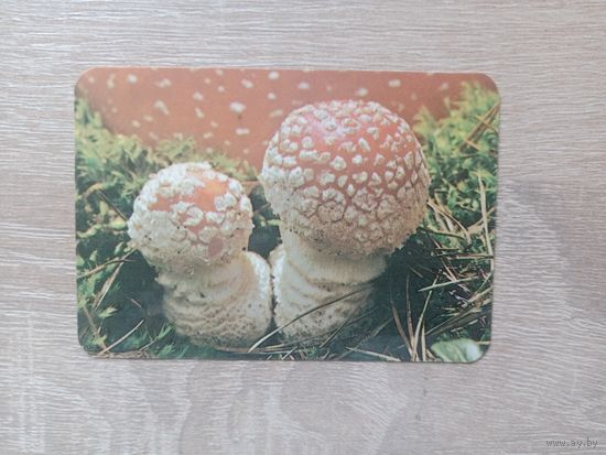 Календарик 1991