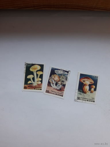 КНДР Грибы
