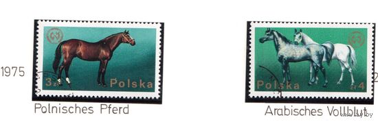 Польша-1975,(Мих.2382-2383)  гаш.  , Лошади