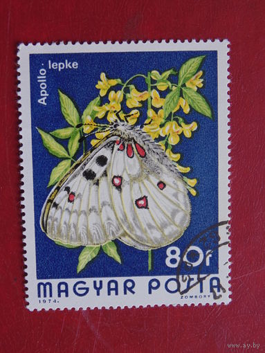 Венгрия 1974 г. Бабочка.