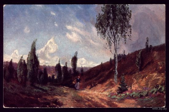 Сиротливая берёзка