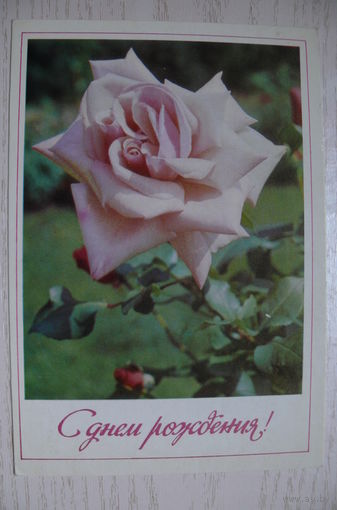 Матанов Н., С днем рождения! 1973, чистая.