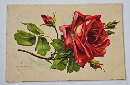 1908 год Либава Открытка