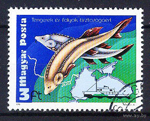 Венгрия 1979. Охрана окружающей среды рек и морей. Полная серия