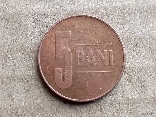Румыния 5 бань, 2009г. (D-107)