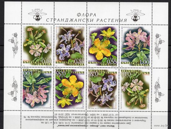Болгария 2006. Флора Цветы малый лист (4761)