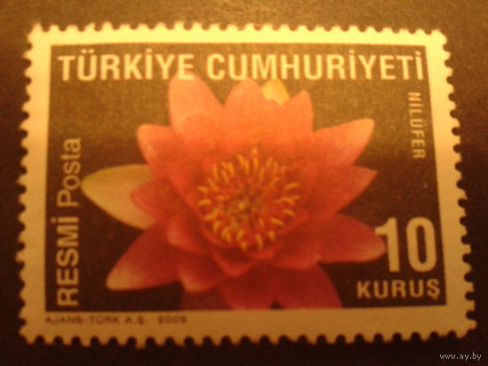 Турция 2009 цветы