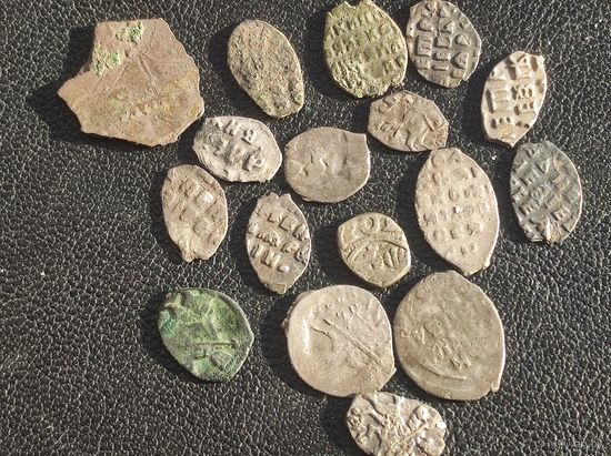 Коллекция чешуи и кусочек сребреника