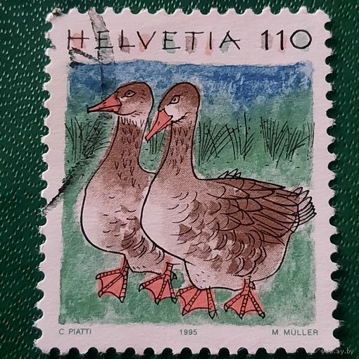 Швейцария 1995. Фауна. Гуси