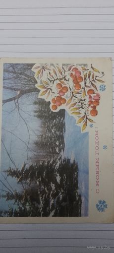 С новым годом! Г. Ахмедов подписана 1975г