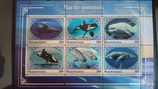 Серия блоков ФАУНА МОРСКИЕ ОБИТАТЕЛИ РЫБЫ     MNH