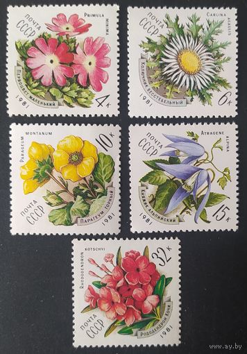 СССР 1981 Цветы.