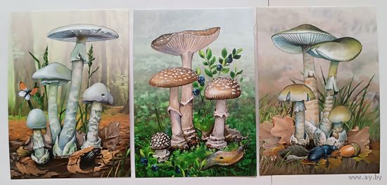Ядовитые грибы. Открытки, глянец