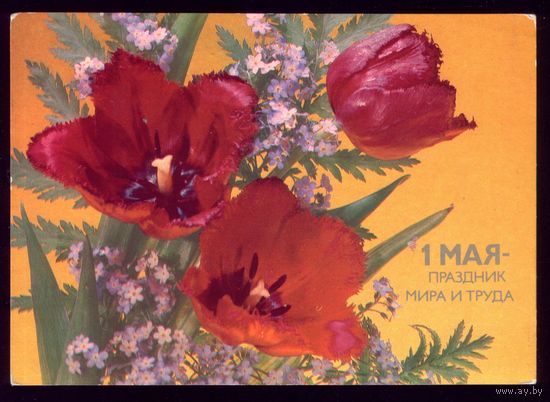 1986 год И.Дергилёв 1 мая Праздник мира и труда чист